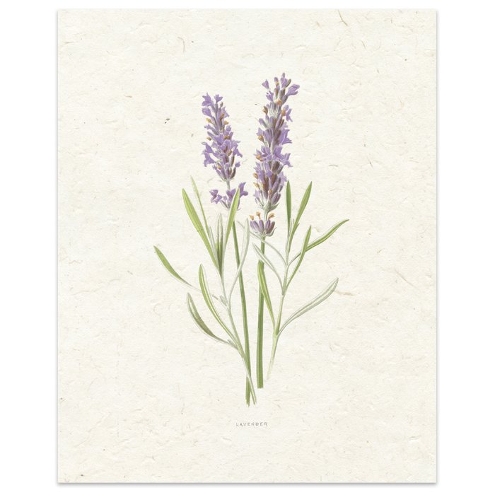 Lavender+Painting+Print.jpg